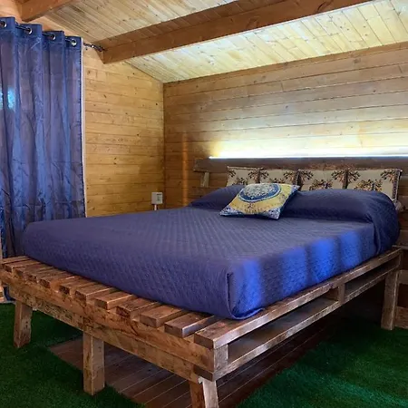 Feriehus The Memory Of Trees *