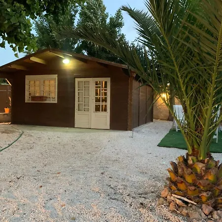 The Memory Of Trees Feriehus