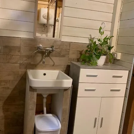 The Memory Of Trees *