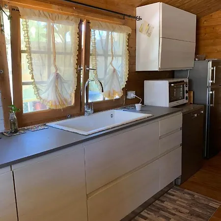 The Memory Of Trees * Marsala