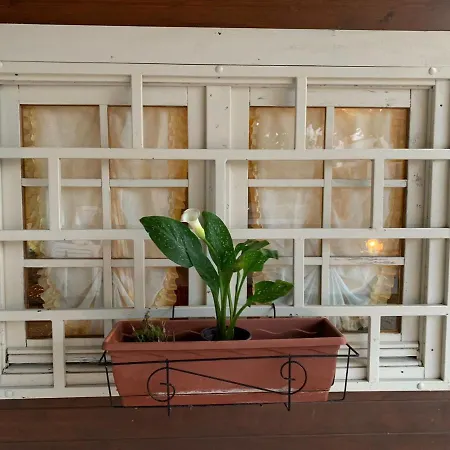 Feriehus The Memory Of Trees Marsala