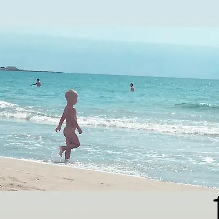 The Memory Of Trees * Marsala