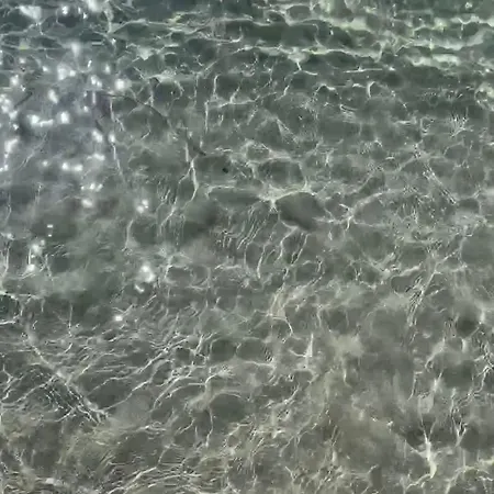 The Memory Of Trees Feriehus