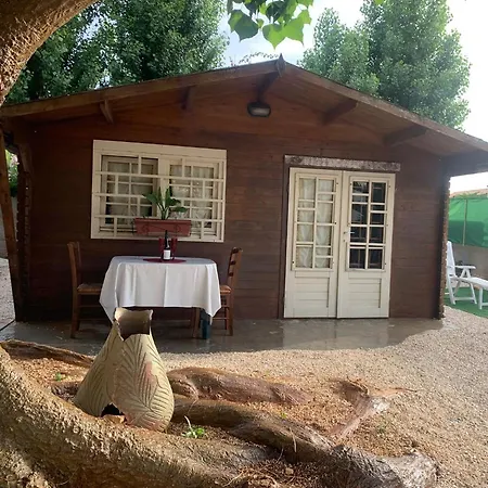 The Memory Of Trees Holiday home *