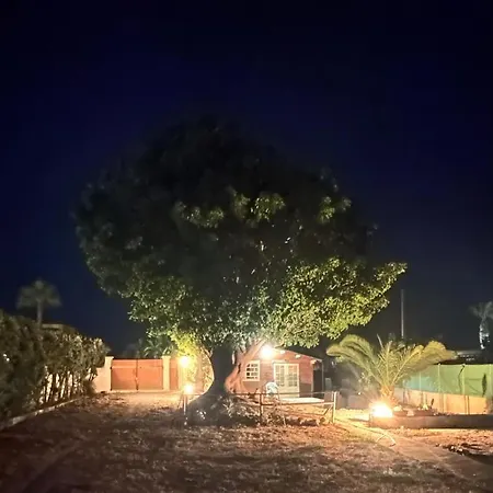 The Memory Of Trees Feriehus